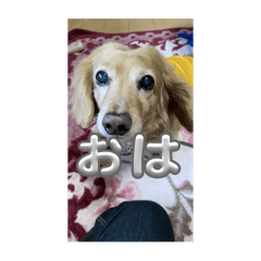 hiro_20250506102846