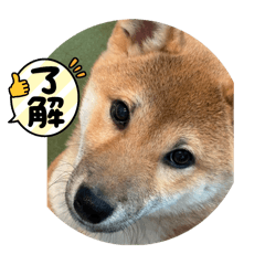 mako_20250506104925