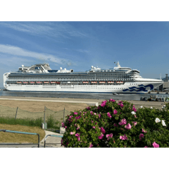 sasaki_20250505182038