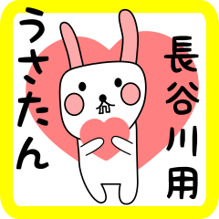 長谷川用 シロウサけいたん
