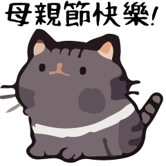 Talking Cat Ball happy mother's day