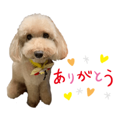 Yuka_20250506114048