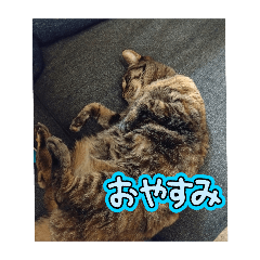 himawari_20250505230531
