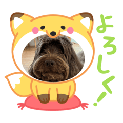 kaito_20250506114557