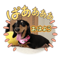 cocoa_20250506124803
