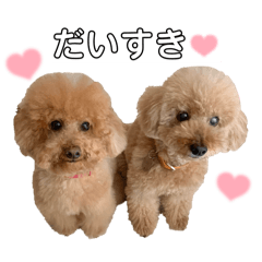 Shiro_20250506124926