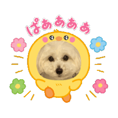 Rena_20250506110827
