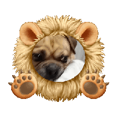 riosuke_20250506125235