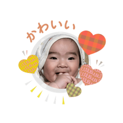 shin_20250506130533
