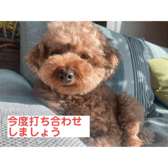 nori_20250506132619