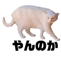 Mana_20250506034937