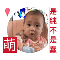 是純不是蠢～芝麻湯圓生活日常。
