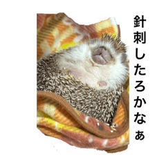 Star0921_20250506152851