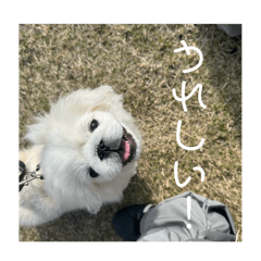 Ao_20250506152444