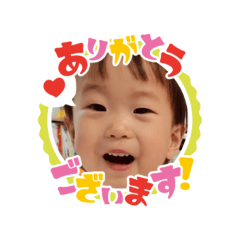 maple_2025