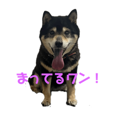 natsuko_20250506153714