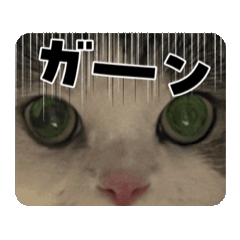 M_20250506195423