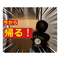 MAMI_20250506181240