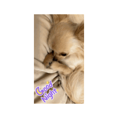 yosu_20250506214915