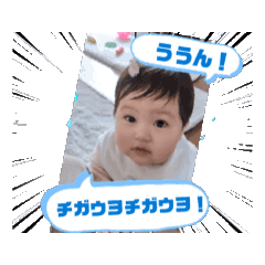 SHOHEI_20250507003814