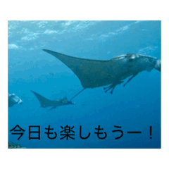 suu_20250507013148