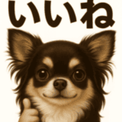 Beru the Chihuahua Stickers