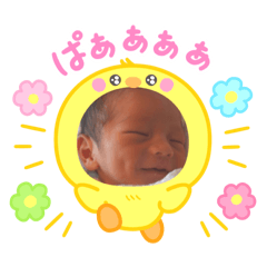 miya_20250506144125