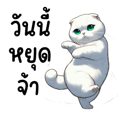 White cat with jade eyes (BIG)