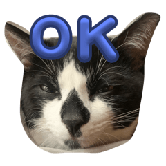 morishi_20250506162611