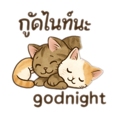 Cat_20250506144036