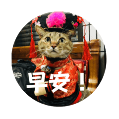 蘇芙蕾賣萌日常用語