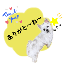 ハツラツタバサくん-毎日言葉編-