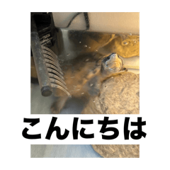 take_20250506193930