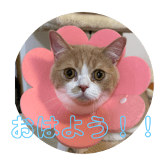 tono1107