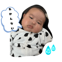 michan_0733