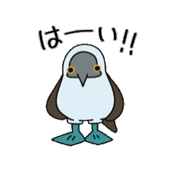 動くぞ！　アオアシさん