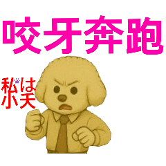 small_20250506131345