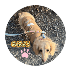 mayu_20250506144444