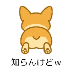 まったりコーギーの毎日