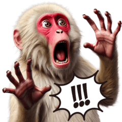 Japanese Macaque: Daily Conversation