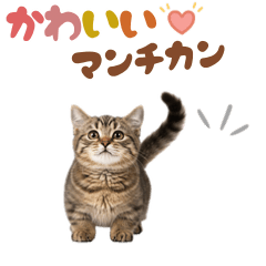 いつでも使えるマンチカンスタンプ