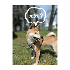 riku_20250506153020