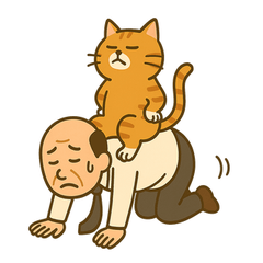 My Dad and the Cat