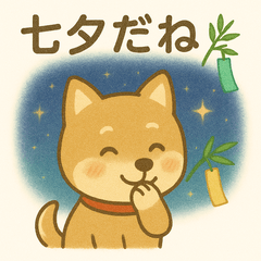 豆柴の星に願いを