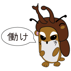 Daily Life of Roborovski Hamster Bo-ta