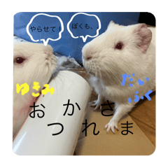 Hima_20250506171128