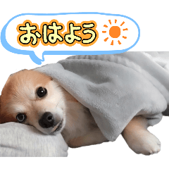 pon_20250506191828