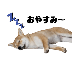 saya_20250506221729