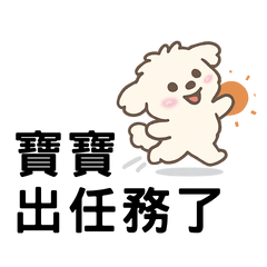 Mission Baby! A Maltese's Daily Life