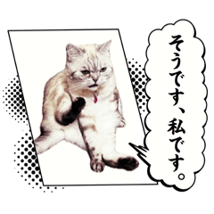猫&咘2